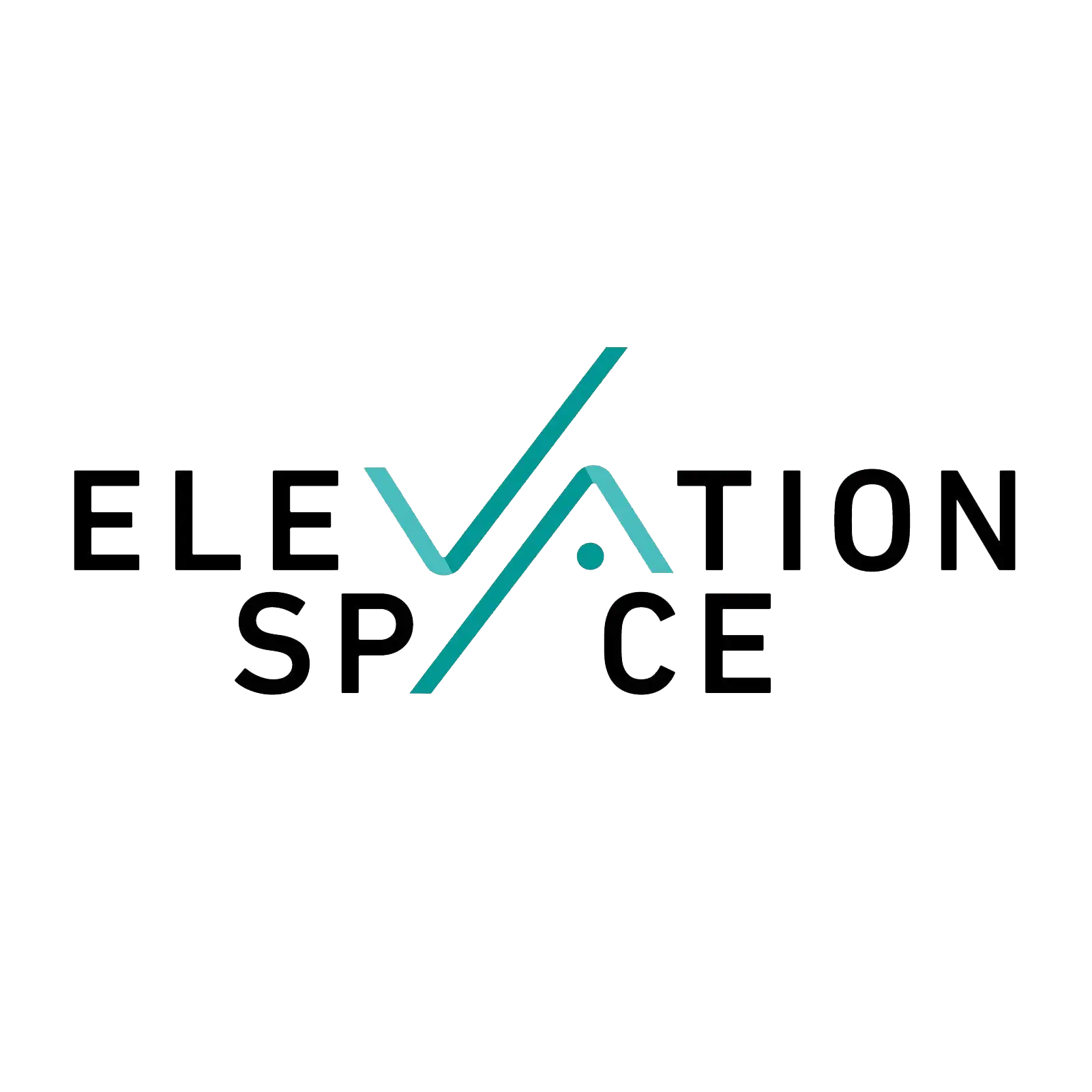 ElevationSpace Inc.