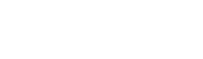 ndv-logo